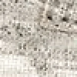 HALIE><noscript><img width=